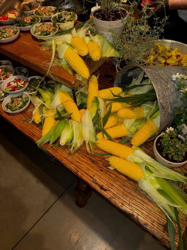 אוכל, צבעים ודברים יפים 🪩